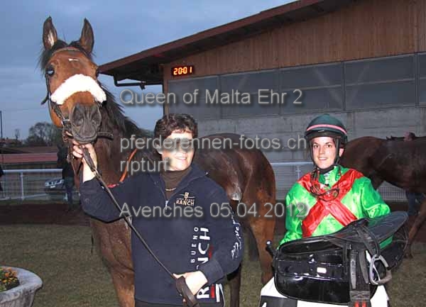 Queen of Malta Ehr 2 prot